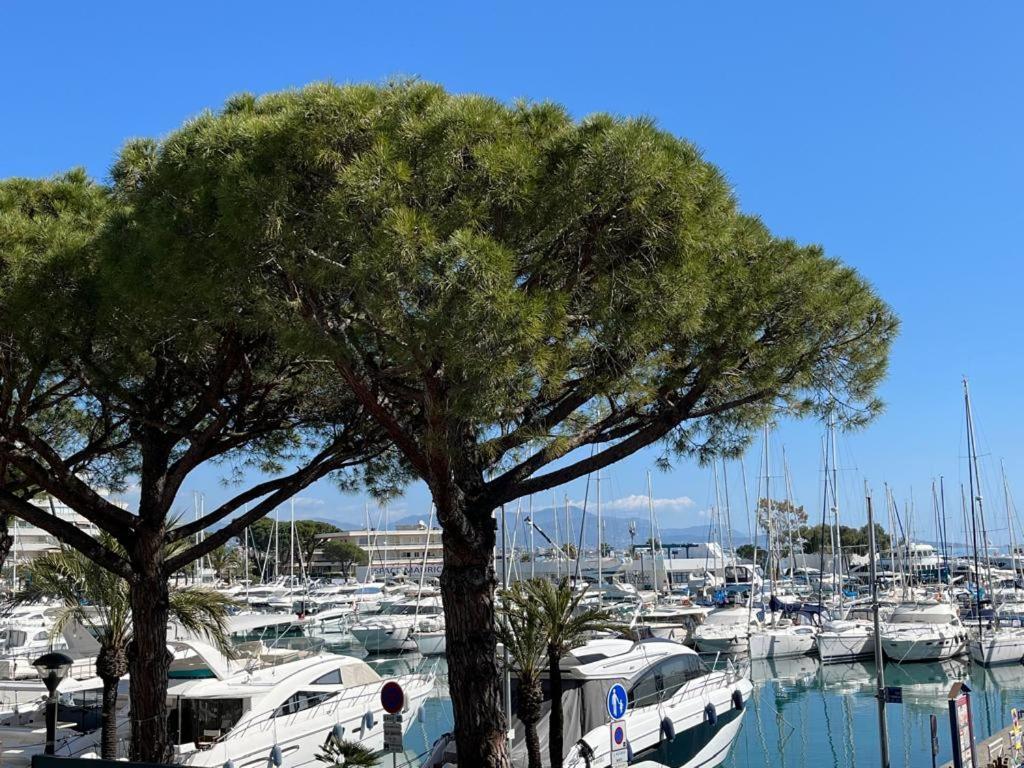 4 Pers , 100M De La Plage Marina Baie Des Anges French Riviera Villeneuve-Loubet Luaran gambar